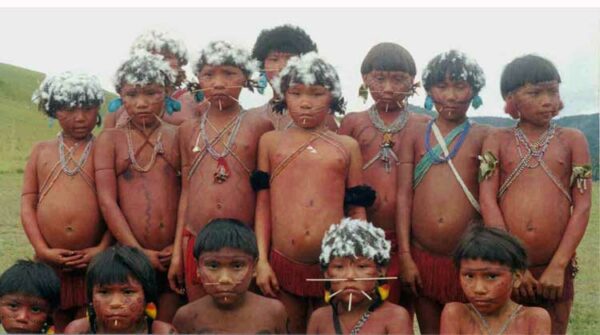 <strong>Amazonas: gli ultimi indios</strong>” />
                
            <a class=