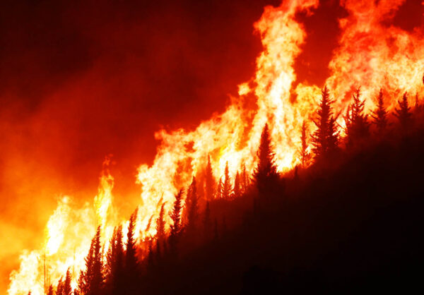Sicilia a fuoco. Servono forestali!